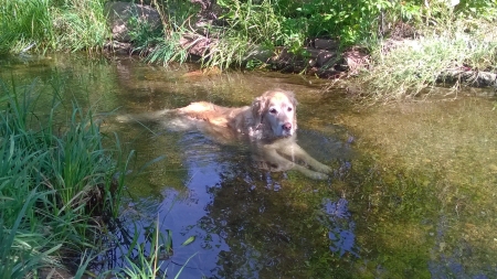 Mandy Chills Out In Silver Lake Ditch